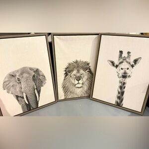 18x24 Framed Canvases
